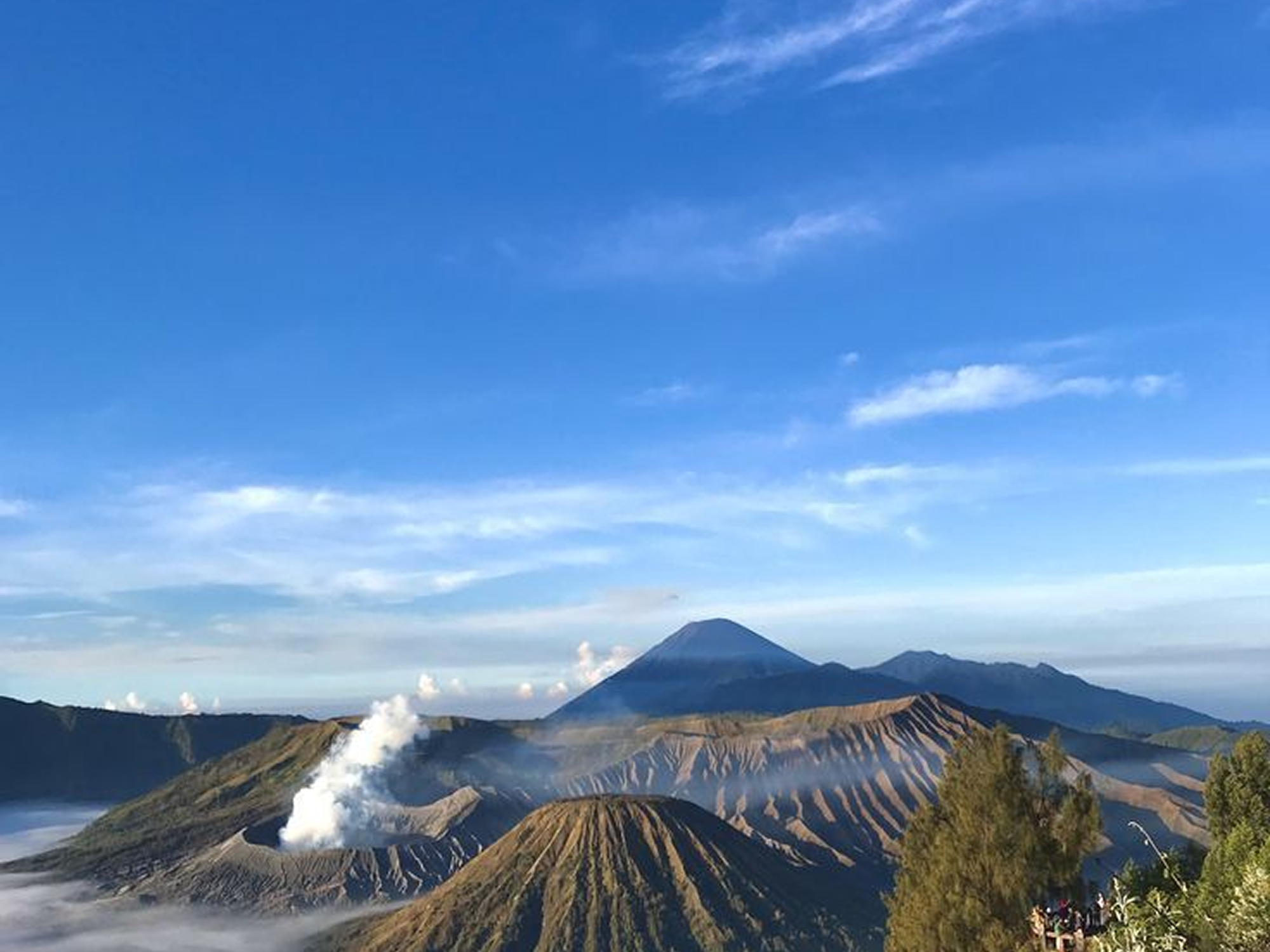 Bromo